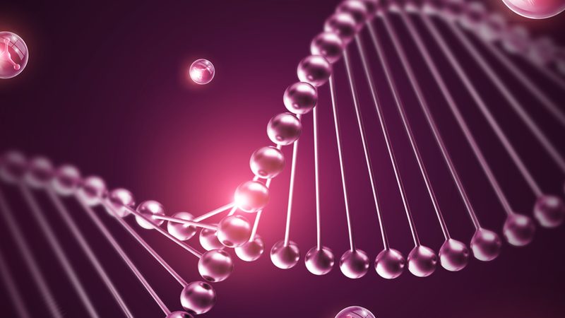 微生物培养基：揭秘十大品牌背后的技术秘密**