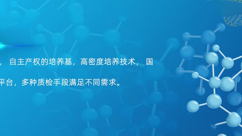 上海细胞工厂，揭秘生物制药领域的未来之星