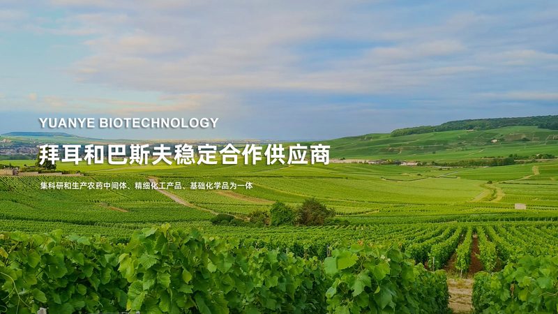 重组抗体表达参数设置的优化策略**