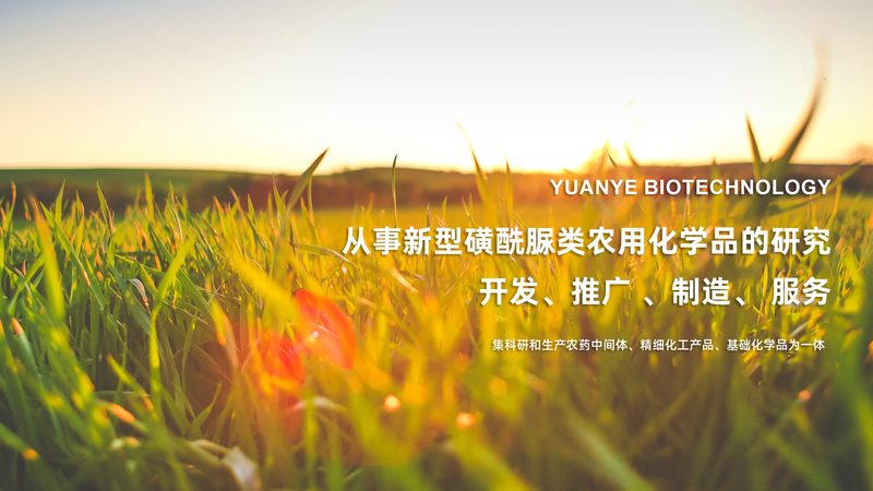 肿瘤基因检测套餐：揭秘其背后的技术奥秘**