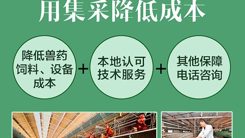 生物医药原液定制服务，揭秘其背后的专业流程
