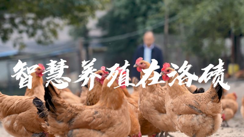 移液器材质耐腐蚀性：如何确保实验数据的准确性**
