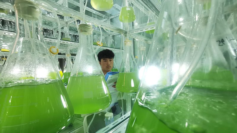 单抗制剂规格与给药途径：如何选择更优方案**